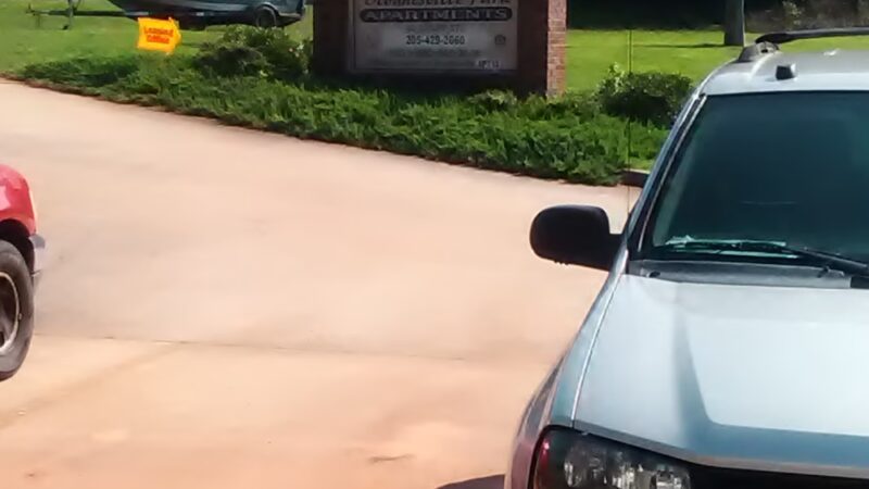 Blountsville Park Apartments - Blountsville, AL