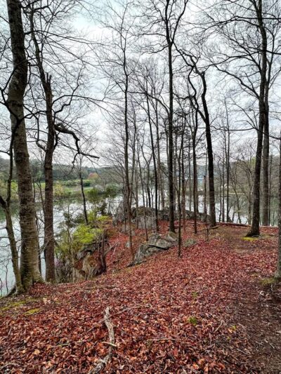 Warriors' Path Mountain Bike Trail Head - Blountville, TN