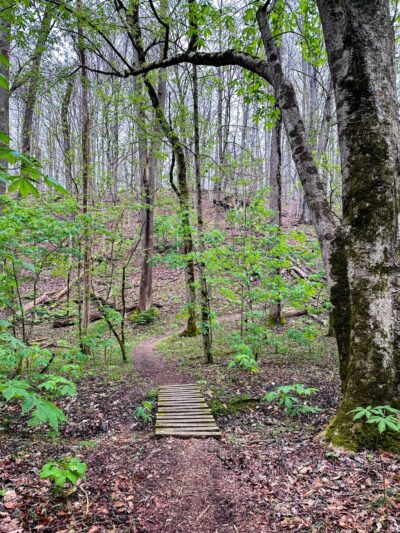 Warriors' Path Mountain Bike Trail Head - Blountville, TN