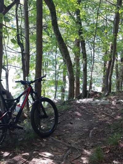 Warriors' Path Mountain Bike Trail Head - Blountville, TN