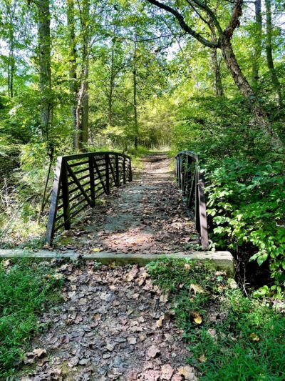Armentrout Preserve - Blue Bell, PA