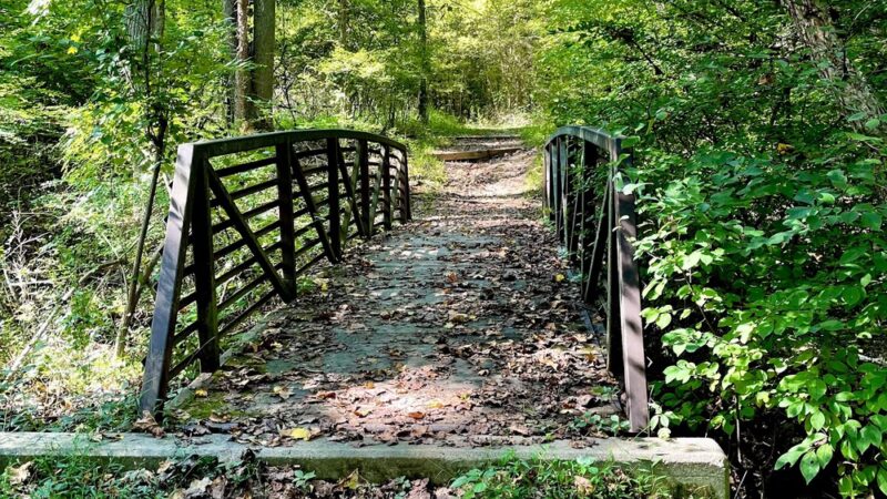 Armentrout Preserve - Blue Bell, PA