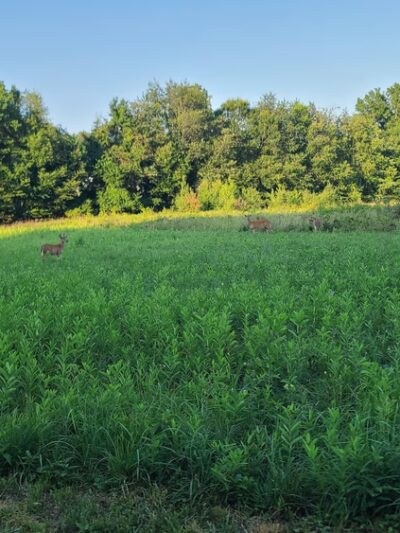 Armentrout Preserve - Blue Bell, PA