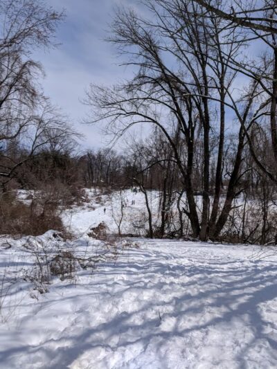 Armentrout Preserve - Blue Bell, PA