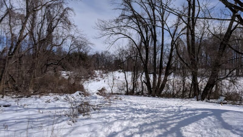 Armentrout Preserve - Blue Bell, PA
