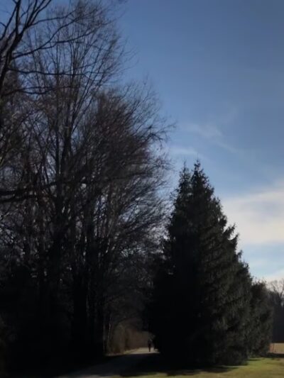 Wentz Run Park - Blue Bell, PA