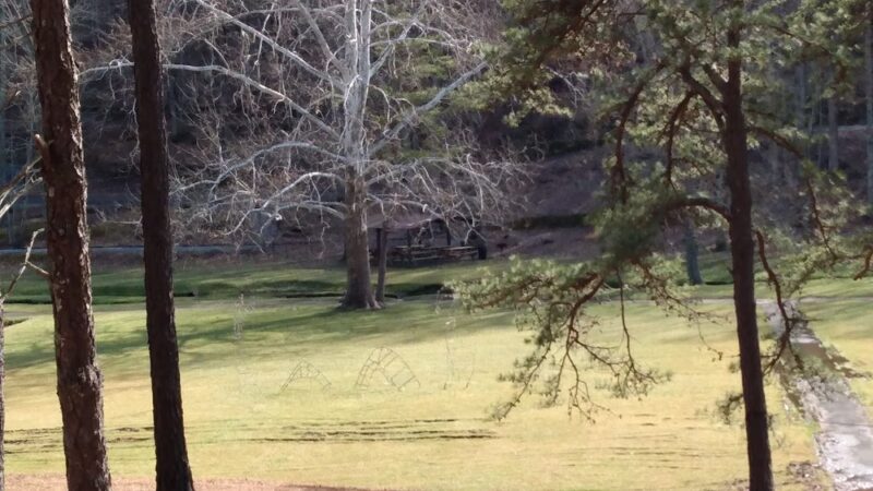 Lotito City Park - Bluefield, VA