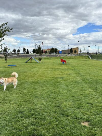 Boardman Dog Park - Boardman, OR