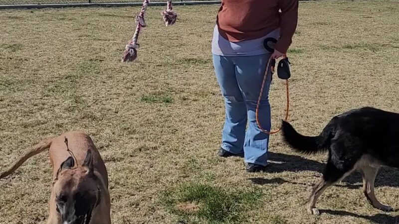 Boardman Dog Park - Boardman, OR