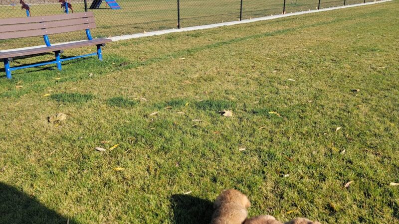 Boardman Dog Park - Boardman, OR