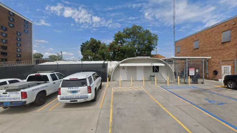 Boaz Animal Control - Boaz, AL