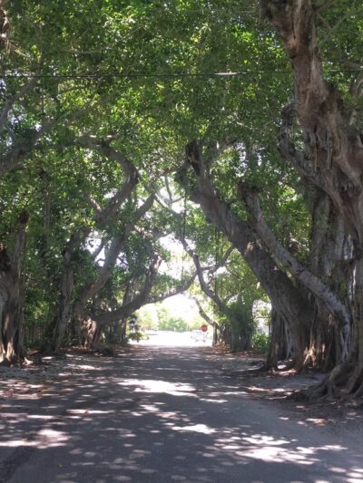 Boca Grande Community Park - Boca Grande, FL