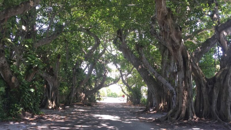Boca Grande Community Park - Boca Grande, FL