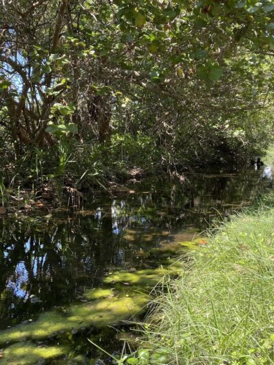 Boca Grande Community Park - Boca Grande, FL