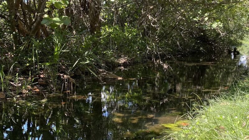 Boca Grande Community Park - Boca Grande, FL
