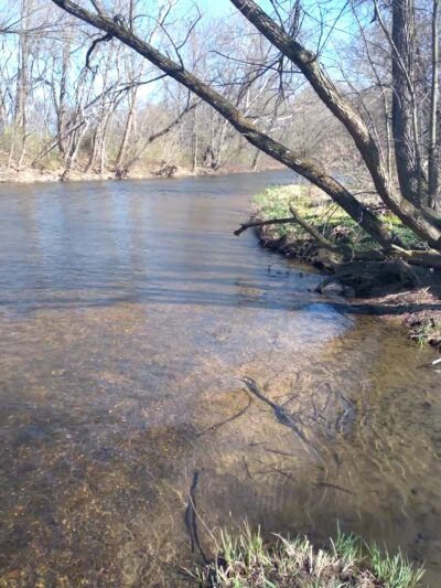 South Middleton Parks & Rec - Boiling Springs, PA