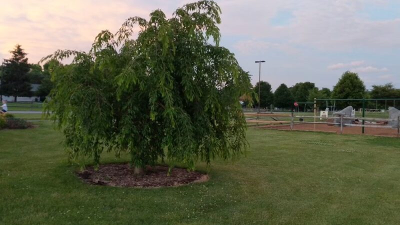 Spring Meadows Park Boiling Springs - Boiling Springs, PA