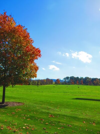 Spring Meadows Park Boiling Springs - Boiling Springs, PA