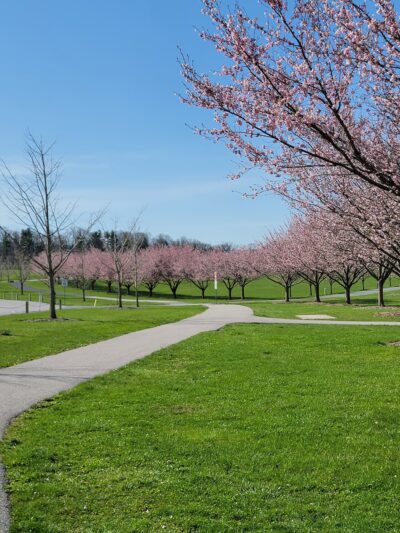Spring Meadows Park Boiling Springs - Boiling Springs, PA