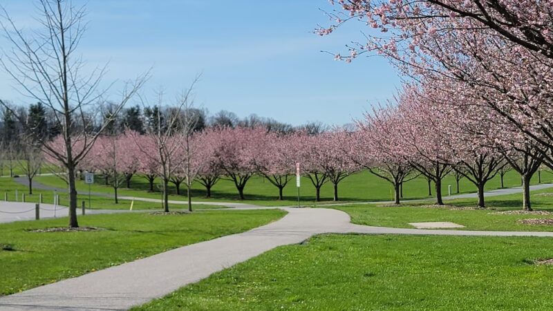 Spring Meadows Park Boiling Springs - Boiling Springs, PA