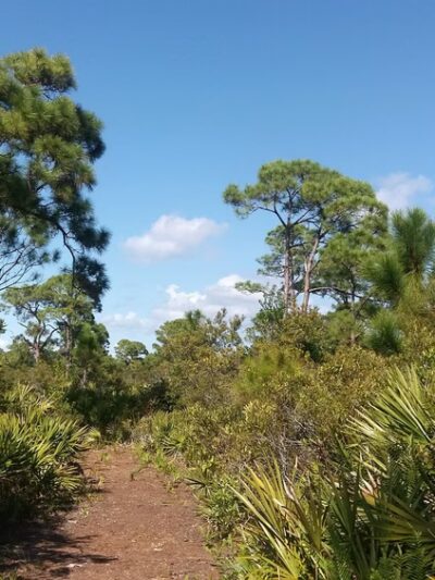 ​Phillips Community Park - Bokeelia, FL