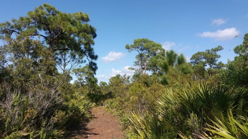 ​Phillips Community Park - Bokeelia, FL