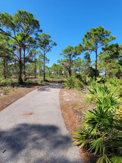 Pinewood Trails - Bokeelia, FL