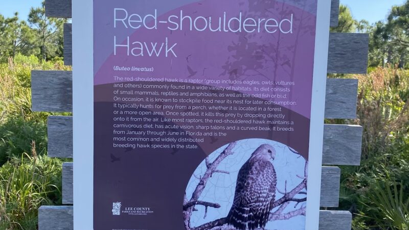 Pinewood Trails - Bokeelia, FL