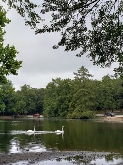 Dunnegan Memorial Park - Bolivar, MO