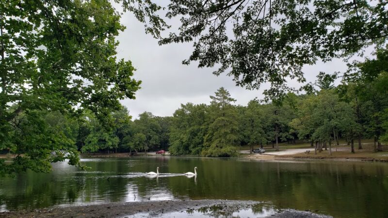 Dunnegan Memorial Park - Bolivar, MO