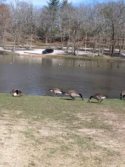 Dunnegan Memorial Park - Bolivar, MO