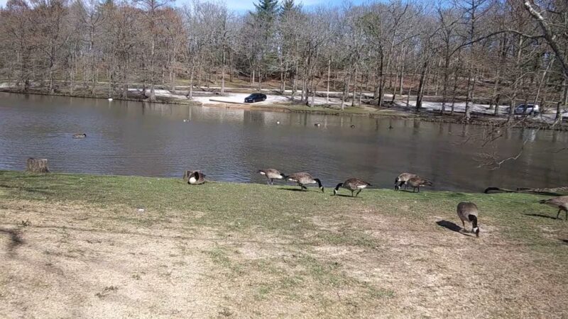 Dunnegan Memorial Park - Bolivar, MO