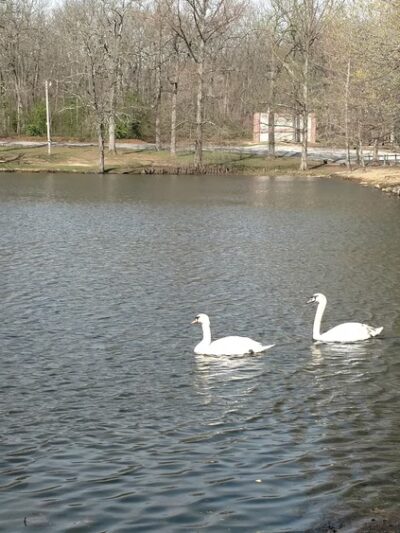 Dunnegan Memorial Park - Bolivar, MO