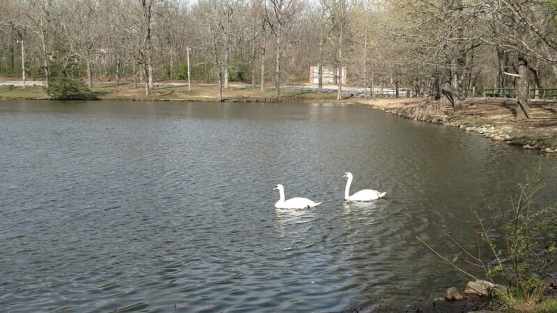 Dunnegan Memorial Park - Bolivar, MO