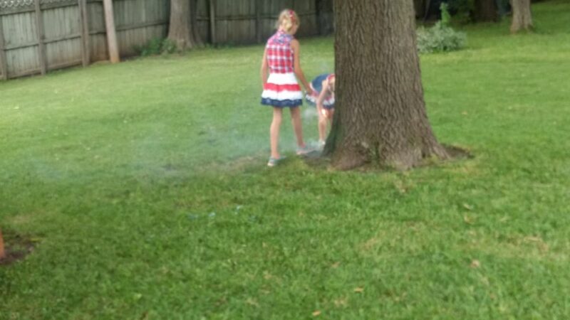 Elmwood Park - Bolivar, MO