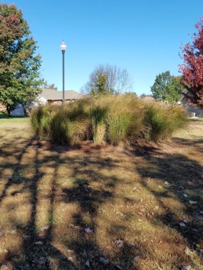 John Playter Park - Bolivar, MO
