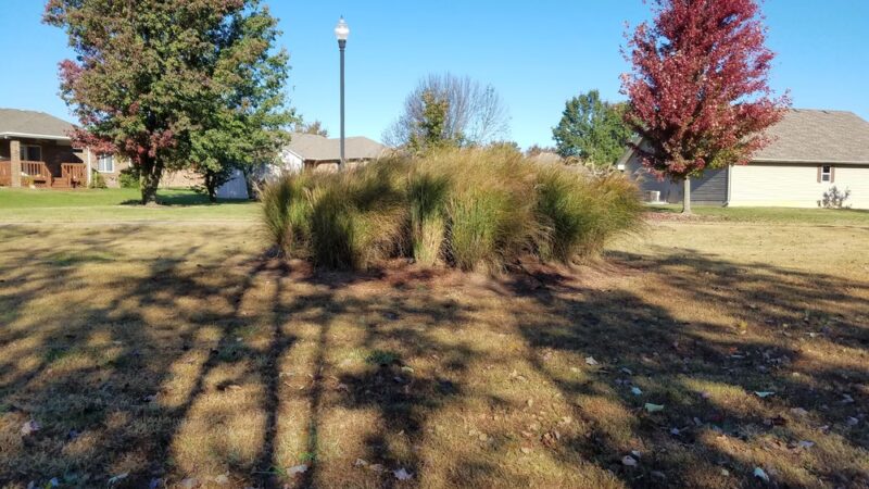 John Playter Park - Bolivar, MO