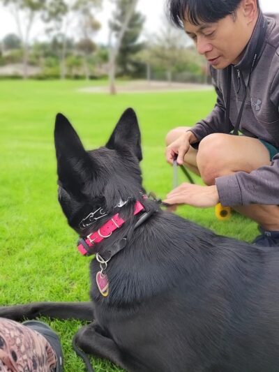 Bonita Long Canyon Park - Bonita, CA
