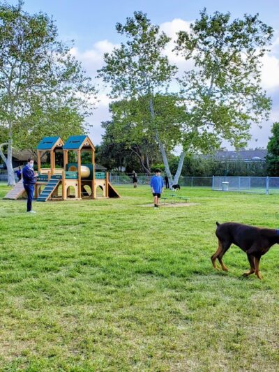 Rohr Dog Park - Bonita, CA
