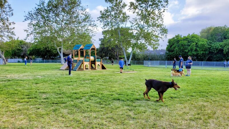 Rohr Dog Park - Bonita, CA