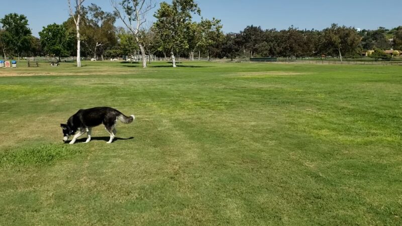 Rohr Dog Park - Bonita, CA