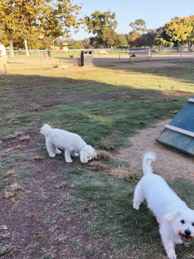 Rohr Dog Park - Bonita, CA