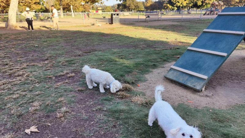 Rohr Dog Park - Bonita, CA