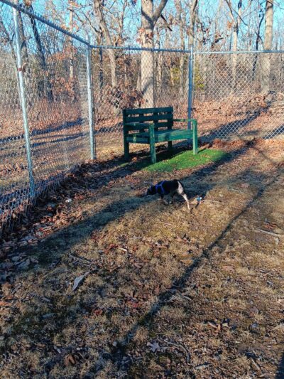 TDL Dog Park - Bonne Terre, MO