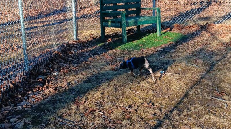 TDL Dog Park - Bonne Terre, MO