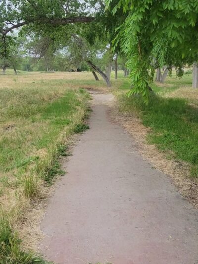 Bonsall Preserve - Bonsall, CA