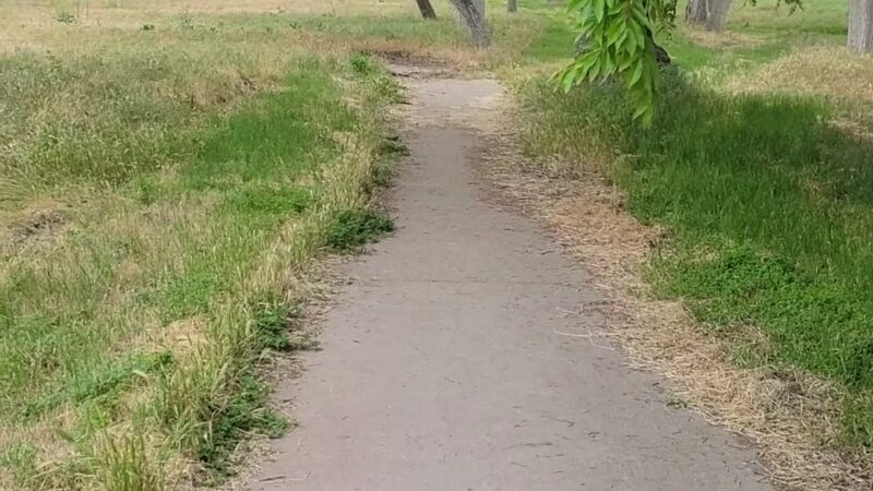 Bonsall Preserve - Bonsall, CA