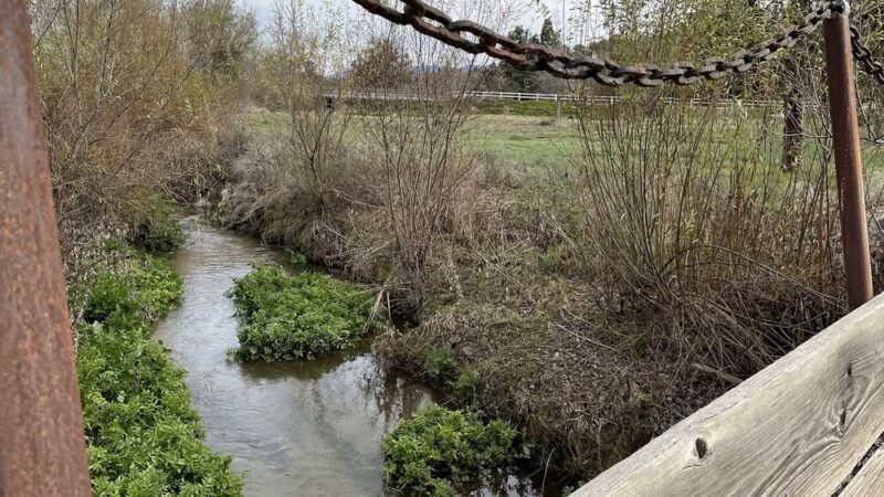 Bonsall Preserve - Bonsall, CA