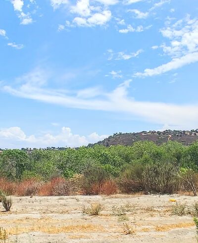 Bonsall Preserve - Bonsall, CA