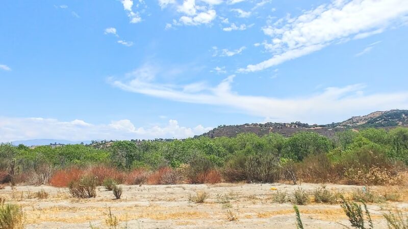Bonsall Preserve - Bonsall, CA